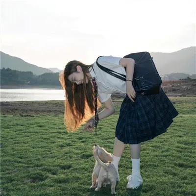 在疯犬心上垂钓