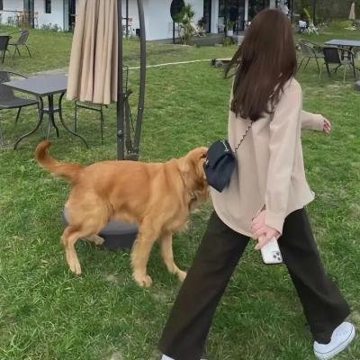 你好我的爱